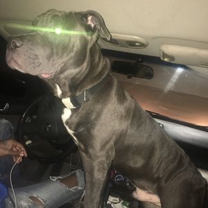 Meet your Posher, William